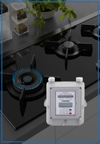 Smart Gas Meter